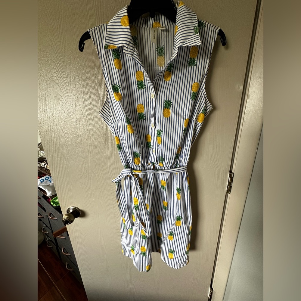 Pineapple striped button Dress